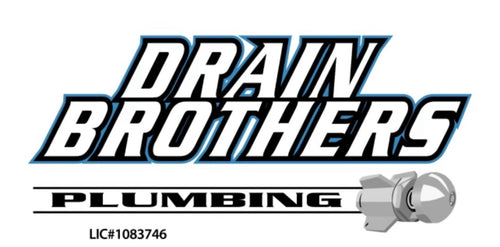 Drain Brothers Inc logo